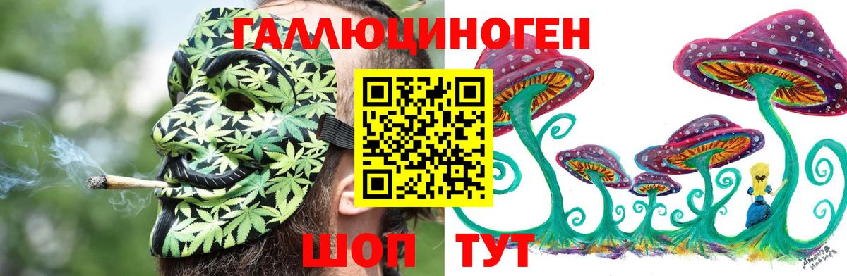 Шахты  Псилоцибиновые грибы прущие грибы  Вход с VPN 